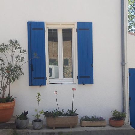 Maison Occitane Saint-Nazaire-d'Aude Exteriér fotografie